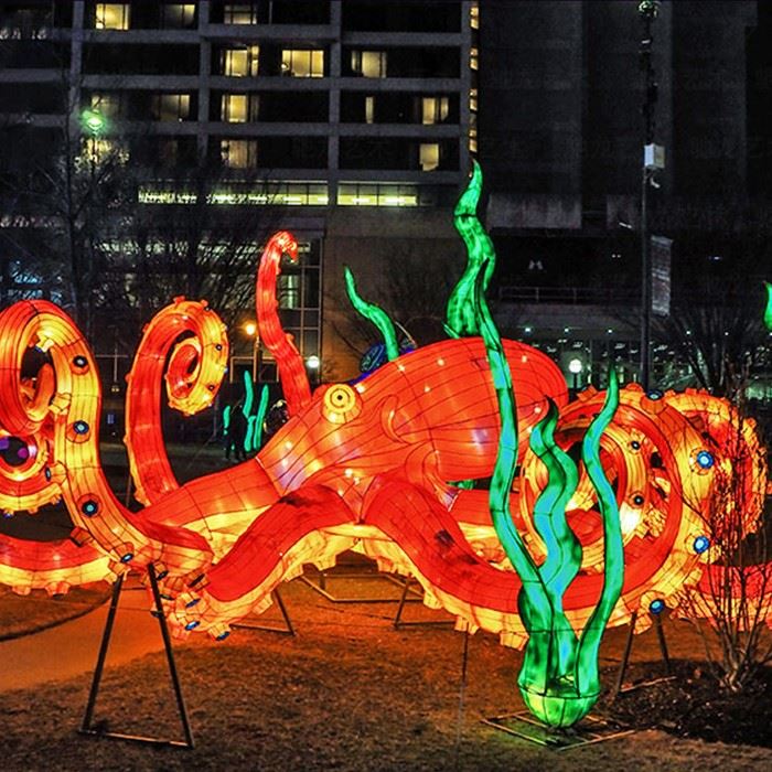 Lantern Festival Lantern Festival